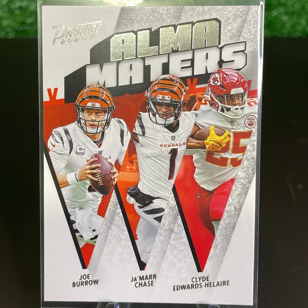 51. Panini Lots of 10 Cincinnati Bengals Football Trading Cards 🏈
